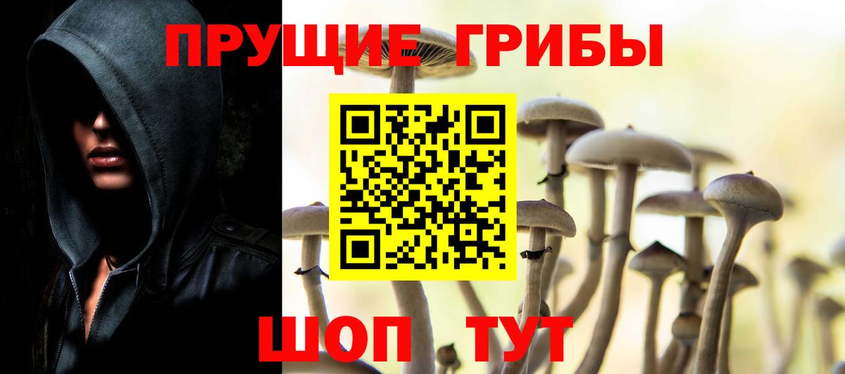 Галлюциногенные грибы мухоморы Полысаево